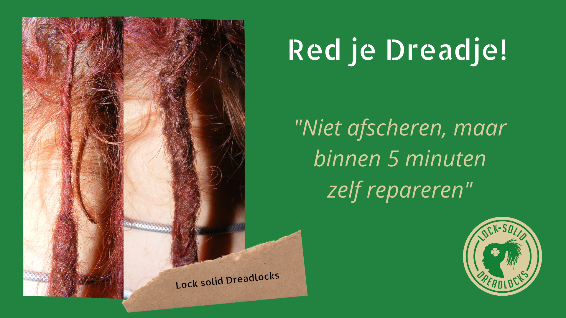 Red je dreadje dreadlock training - dreadkapper rotterdam - Lock Solid Dreadlocks - Alles Voor Dreads - Solid Locks Academy